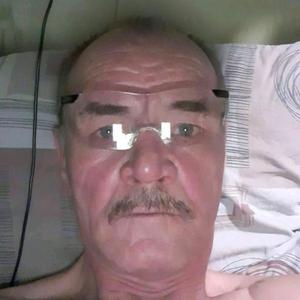 Володя, 62 года, Пермь