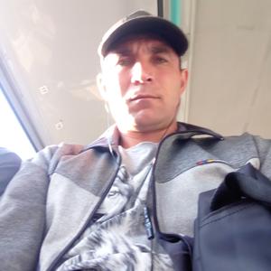 Сергей, 41 год, Прокопьевск