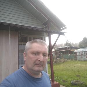 Алексей, 59 лет, Электрогорск