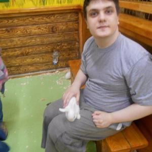 Андрей Протаскин, 28 лет, Смоленск