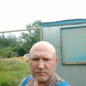 Андрей, 45 лет, Псков