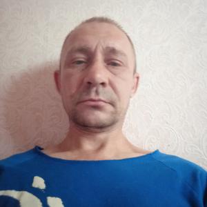 Виктор, 46 лет, Череповец