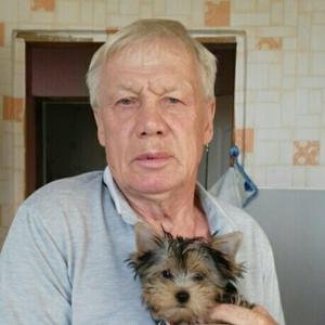 Борис, 75 лет, Челябинск