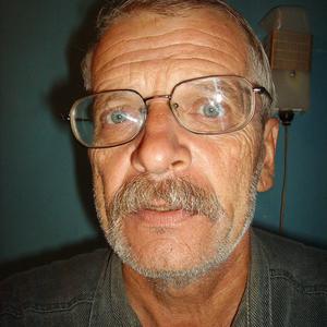 Владимир Васильев, 71 год, Боровичи