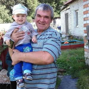 Владимир, 61 год, Навля