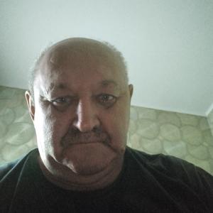 Александр, 61 год, Курск