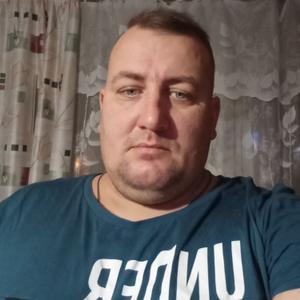 Дмитрий, 39 лет, Зарайск