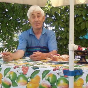 Николай, 66 лет, Коркино