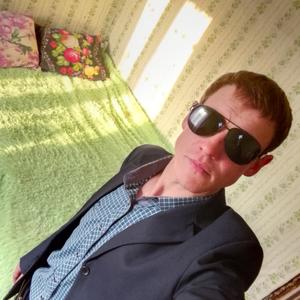 Серега, 36 лет, Томск