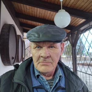 Саныч, 63 года, Татарстан