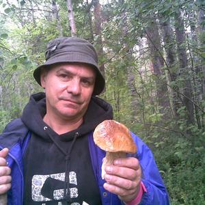 Василь, 62 года, Северодвинск