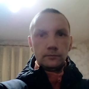 Дима, 37 лет, Архангельск