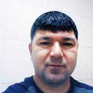 Шараф, 46 лет, Москва