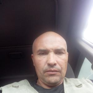 Николай, 49 лет, Лосино-Петровский