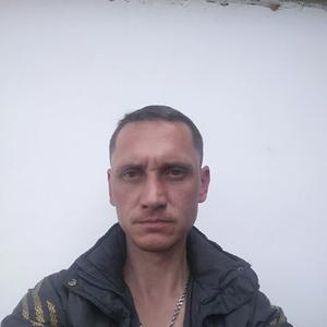 Андрей, 44 года, Лысьва