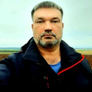 Карабас, 52 года, Ижевск