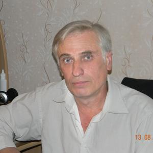 Вениамин Михалин, 66 лет, Тула