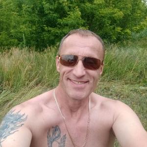 Владимир, 49 лет, Строитель