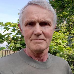 Николай, 74 года, Тула