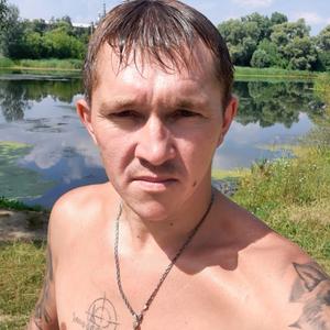 Вячеслав, 39 лет, Льгов