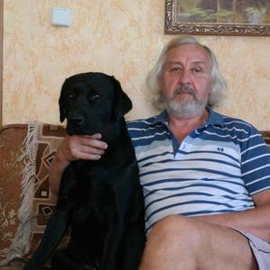 Александр, 67 лет, Усмань