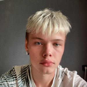 Кирилл, 18 лет, Фрязино