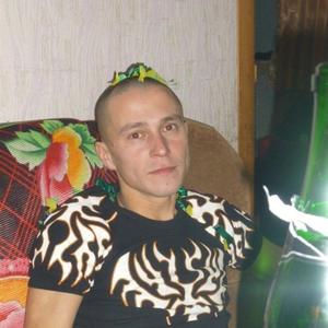Дима, 41 год, Выльгорт