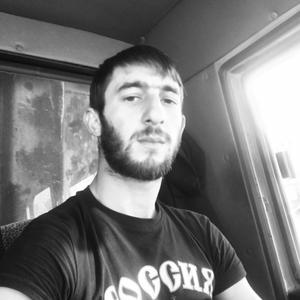 Миша, 26 лет, Ярославль
