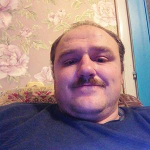 Сергей, 36 лет, Витебск