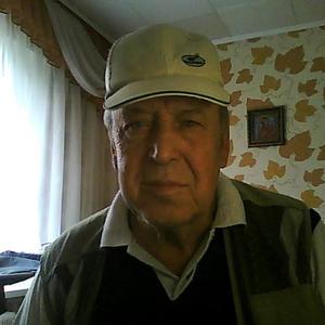 Николай, 73 года, Самара