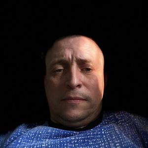Сергей, 42 года, Лесной