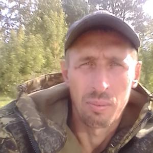 Дмитрий, 43 года, Тара