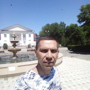 Roman, 44 года, Михайловка