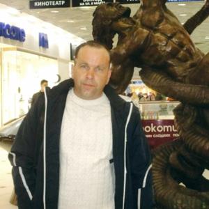 Илья, 43 года, Алапаевск