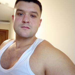 Владимир, 33 года, Мытищи