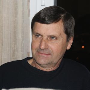 Анатолий, 72 года, Воронеж
