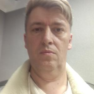 Николай, 46 лет, Ивантеевка