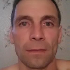 Николай Чирухин, 49 лет, Котлас