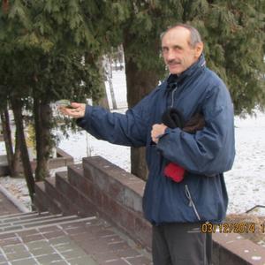 Игорь, 67 лет, Воронеж