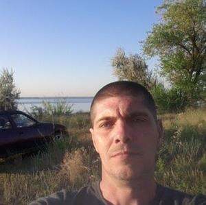Андрей, 39 лет, Камышин
