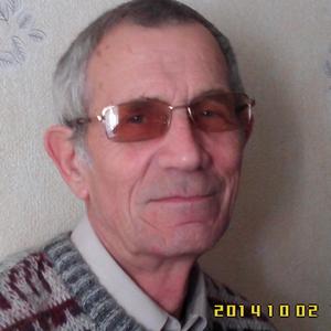 Николай, 77 лет, Боровичи