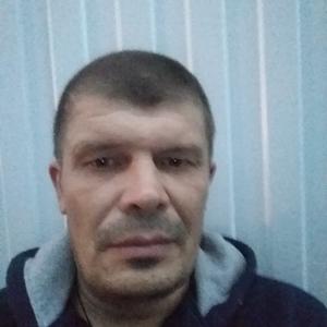 Юрий, 46 лет, Сыктывкар