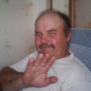 Сергей Родин, 64 года, Горняк
