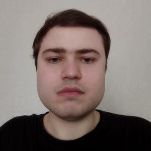 Михаил, 27 лет, Липецк