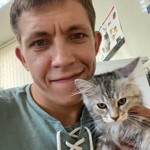 Dmitriy, 36 лет, Красноармейск Dmitriy, 36 лет, Красноармейск