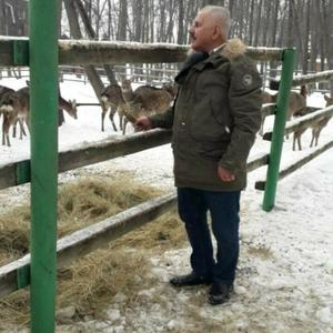 Василий, 67 лет, Белгород