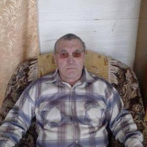 Михаил , 70 лет, Базарный Карабулак