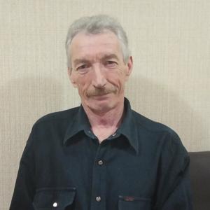 Николай, 64 года, Городец