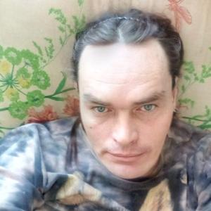 Евгений, 43 года, Курган