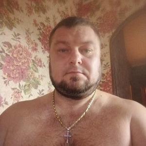 Александр, 43 года, Великий Новгород